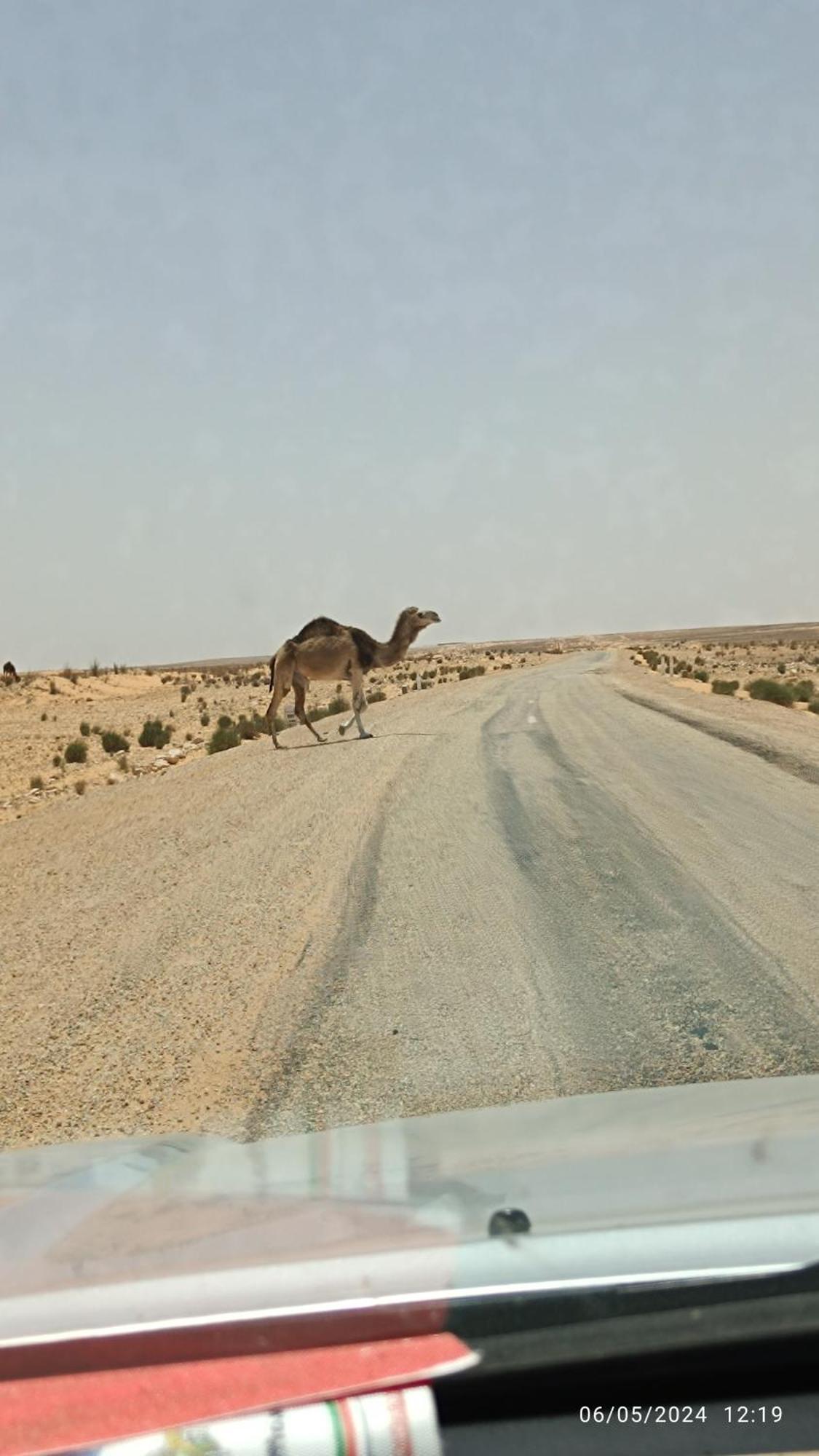 Dar Lagune Djerba Vue De Mer Al Haddadah Exterior foto