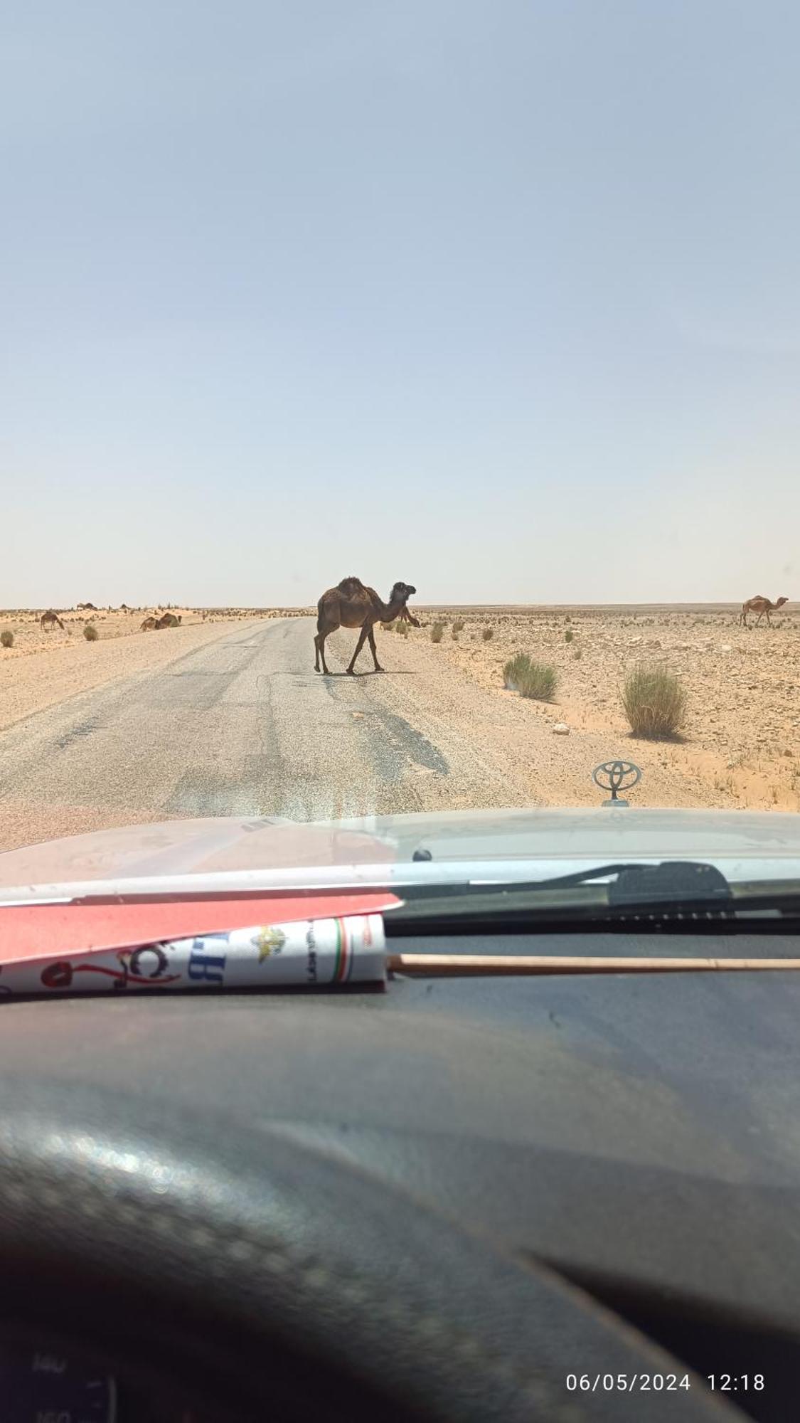 Dar Lagune Djerba Vue De Mer Al Haddadah Exterior foto