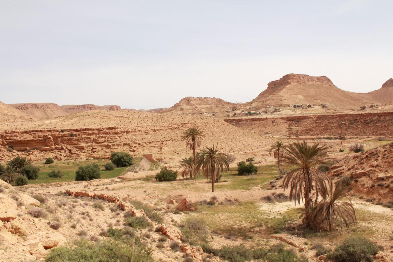 Dar Lagune Djerba Vue De Mer Al Haddadah Exterior foto
